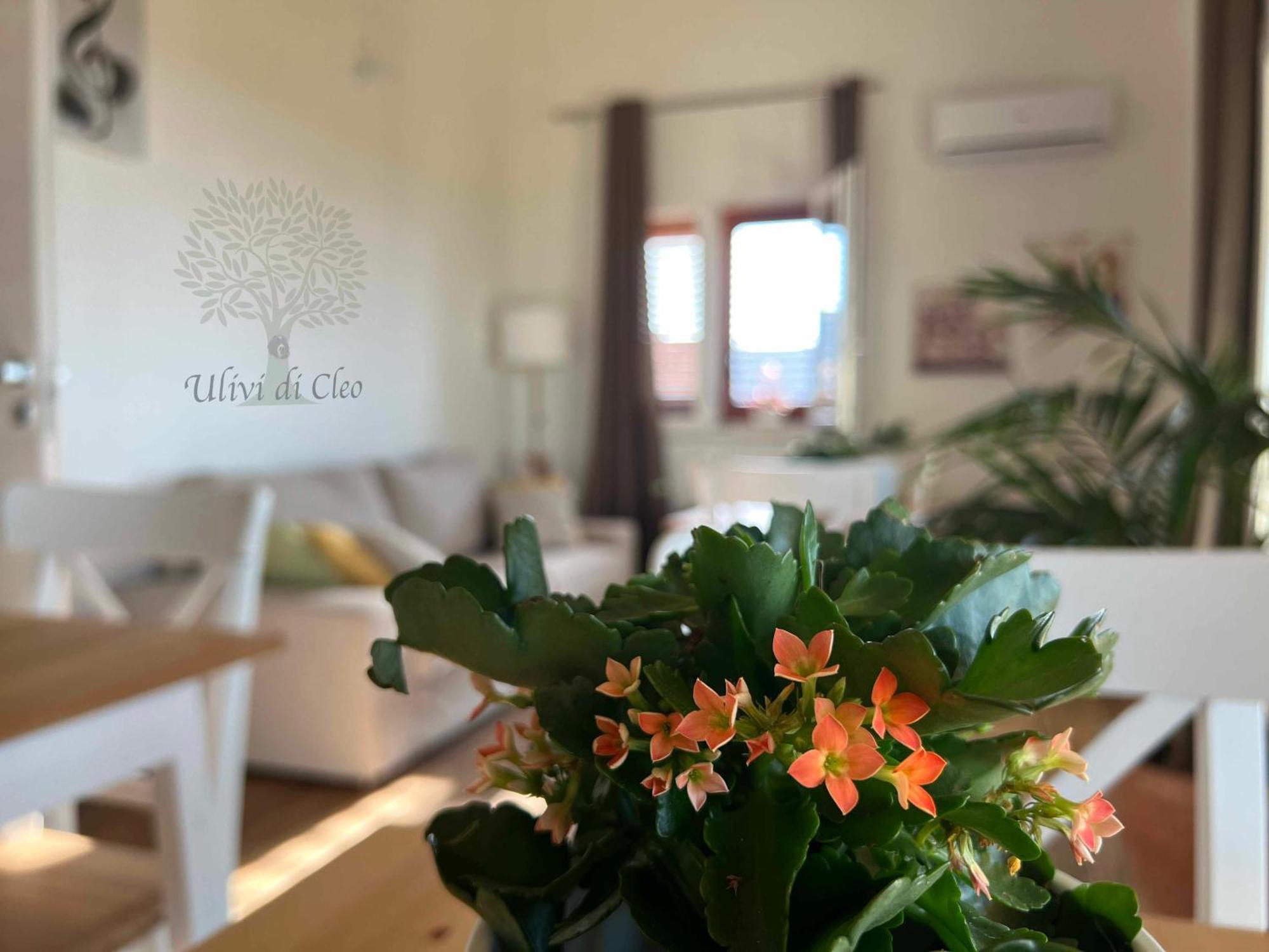 Ulivi Di Cleo Guest House Realmonte Exterior photo