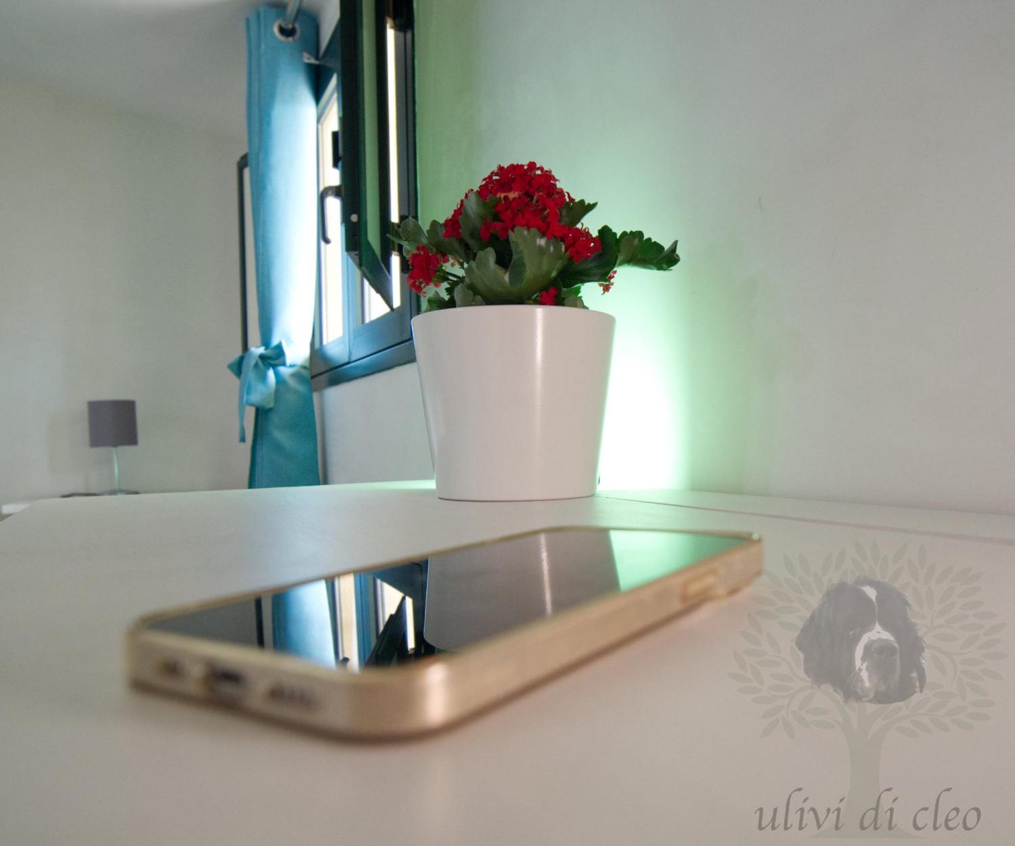 Ulivi Di Cleo Guest House Realmonte Exterior photo